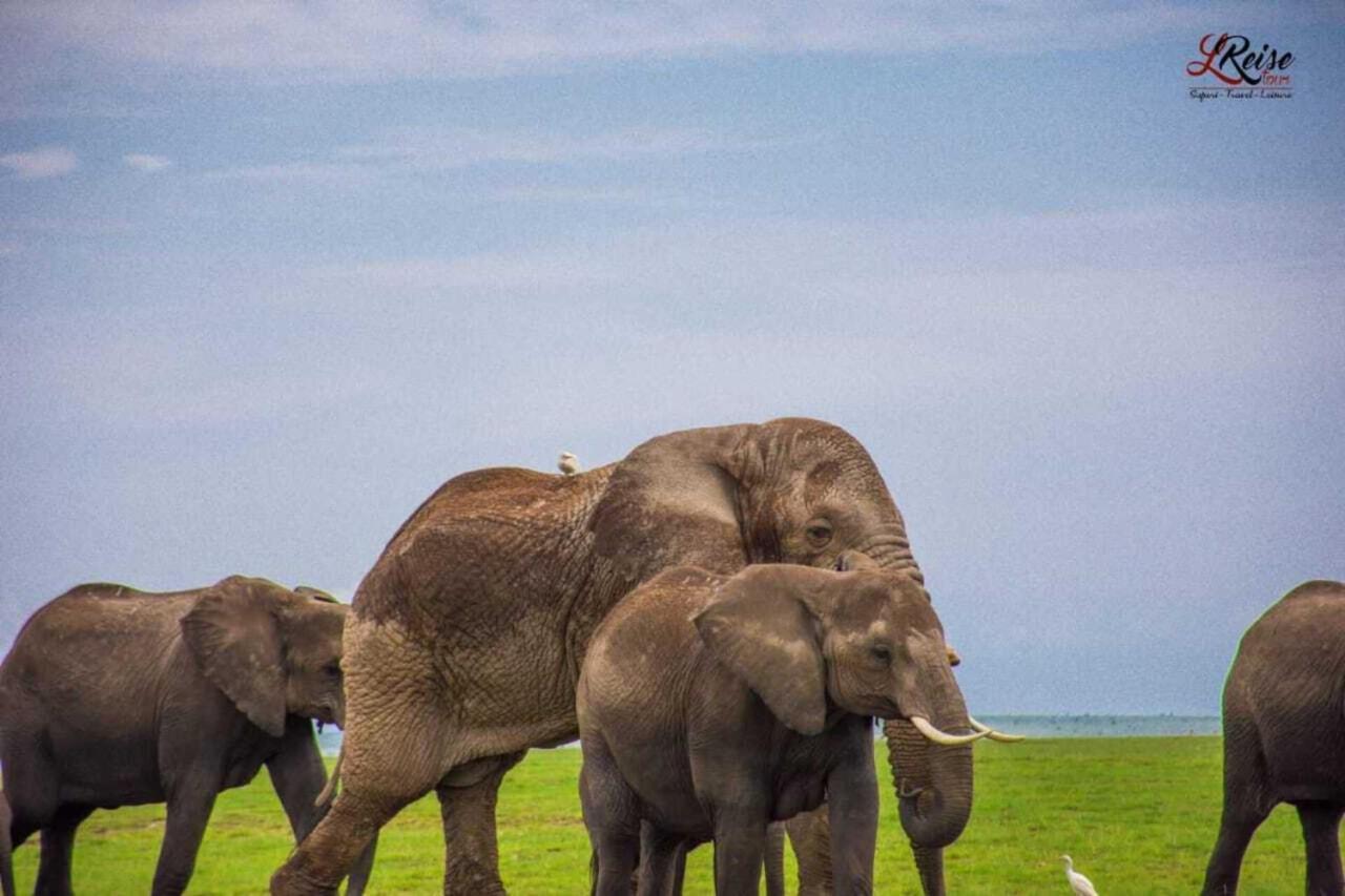 Amanya 2-Rooms Lioness Family Amboseli Eksteriør bilde