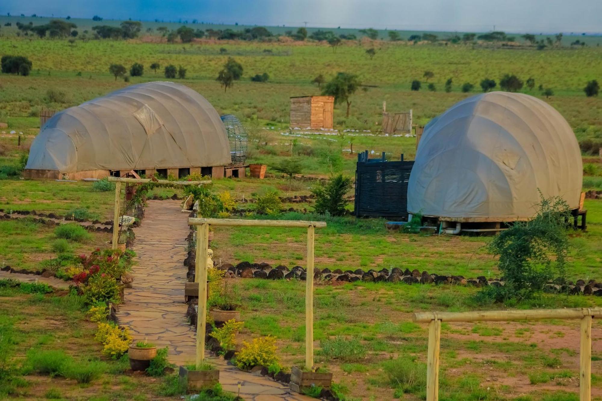 Amanya 2-Rooms Lioness Family Amboseli Eksteriør bilde